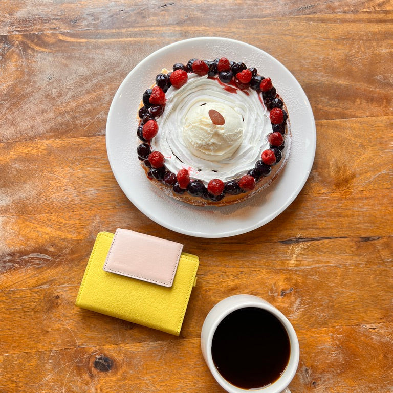 Sami Flip Crossbody Wallet (4 Colors)